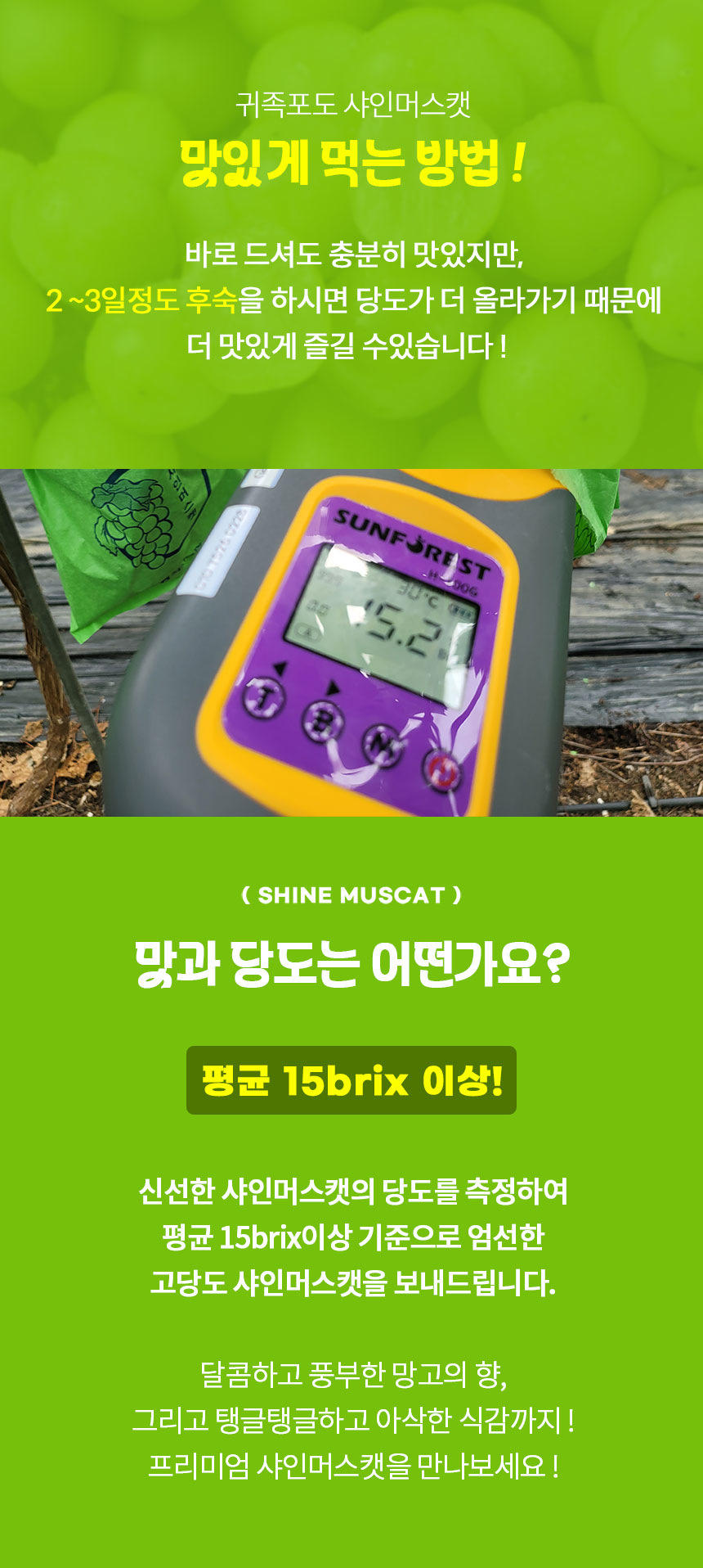 잇콕 경북 샤인머스켓, 2kg, 5수 이내, 1박스
