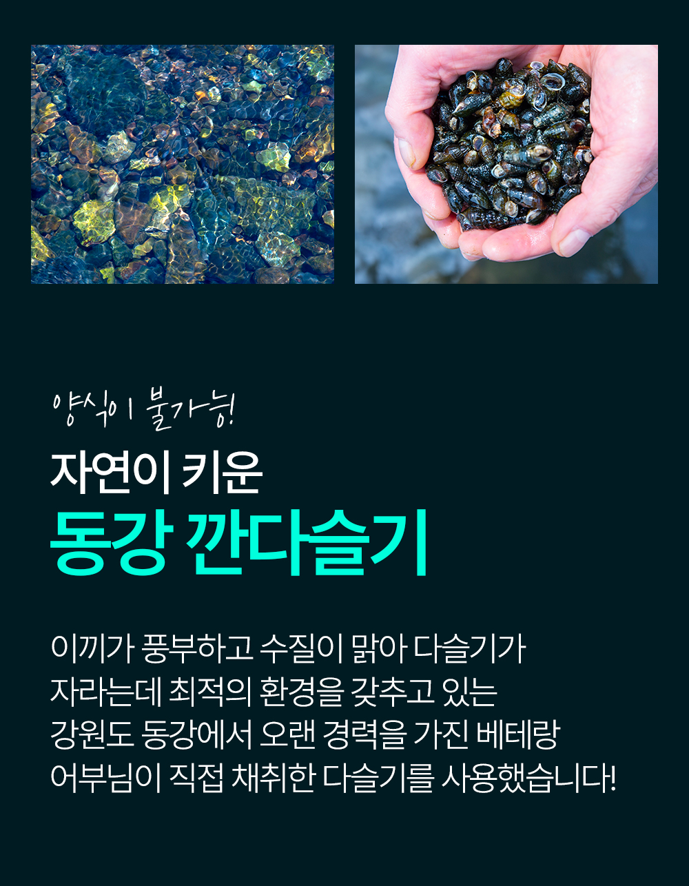 동강 자연산 손질 깐다슬기, 300g, 3팩 상세정보 6
