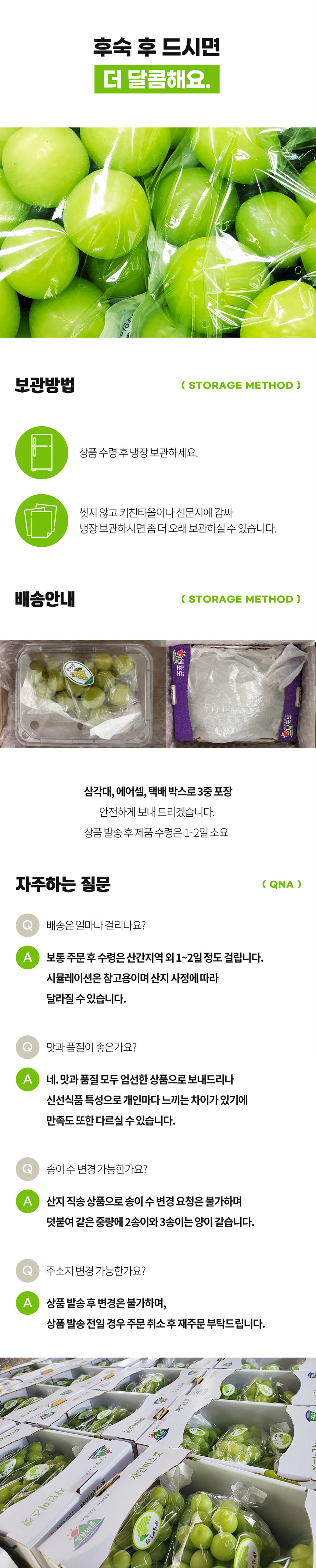잇콕 경북 샤인머스켓, 2kg, 5수 이내, 1박스