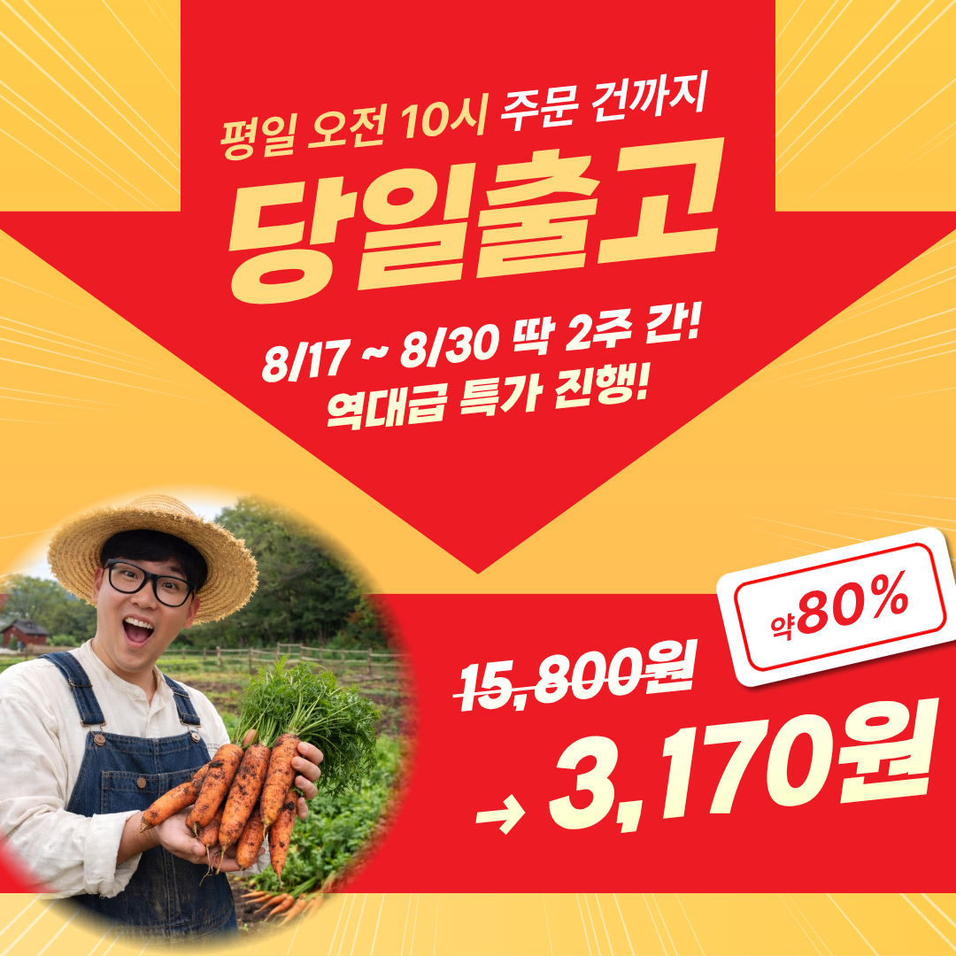 제주 구좌당근 흙당근, 1kg, 1박스 상세 이미지 1