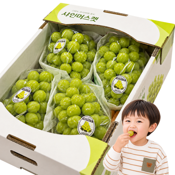 담과원 씨없는 꿀뚝뚝 샤인머스켓, 2kg, 1박스