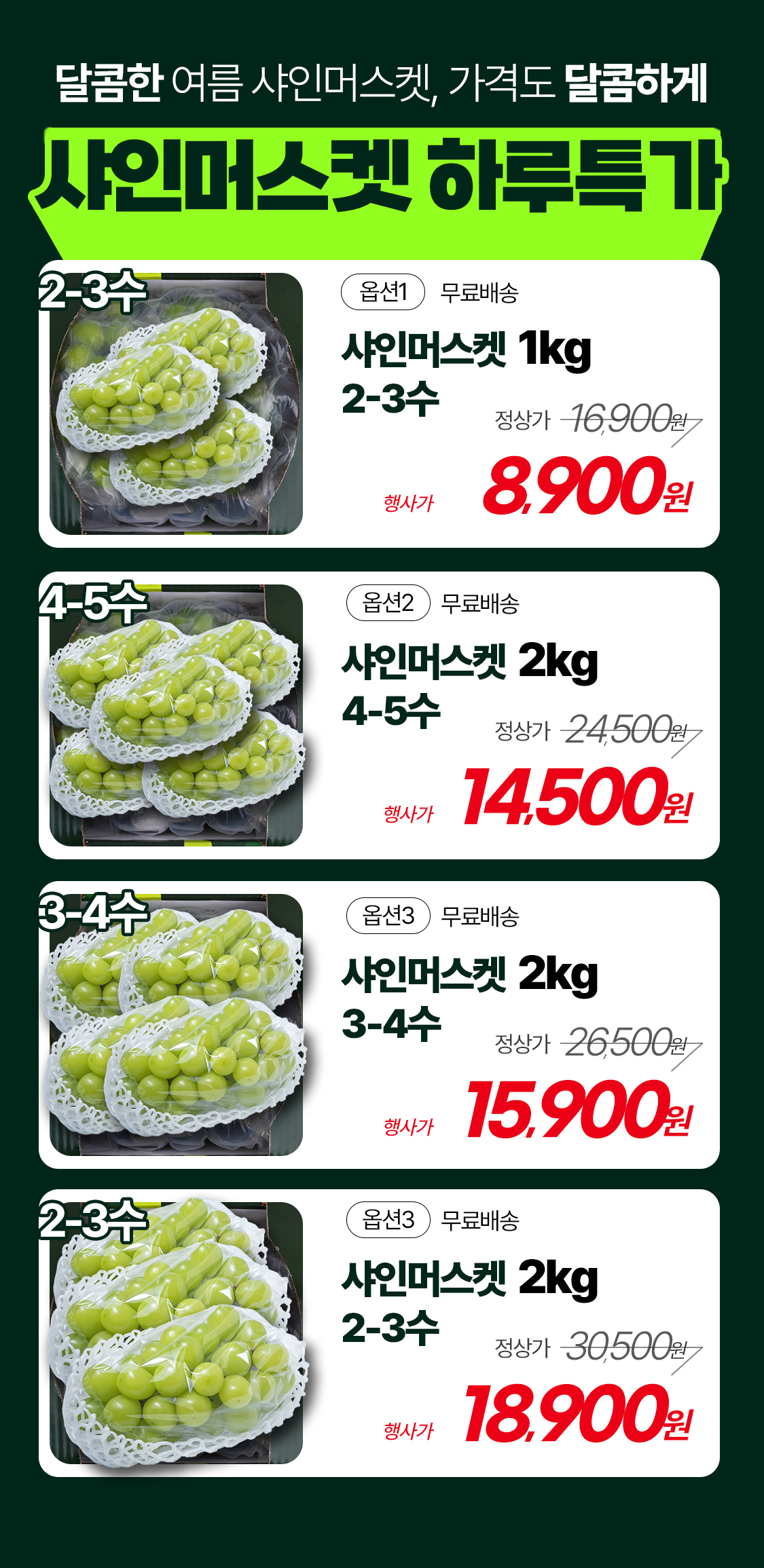 산기슭 샤인머스켓, 2~3수, 1kg 상세 이미지 3