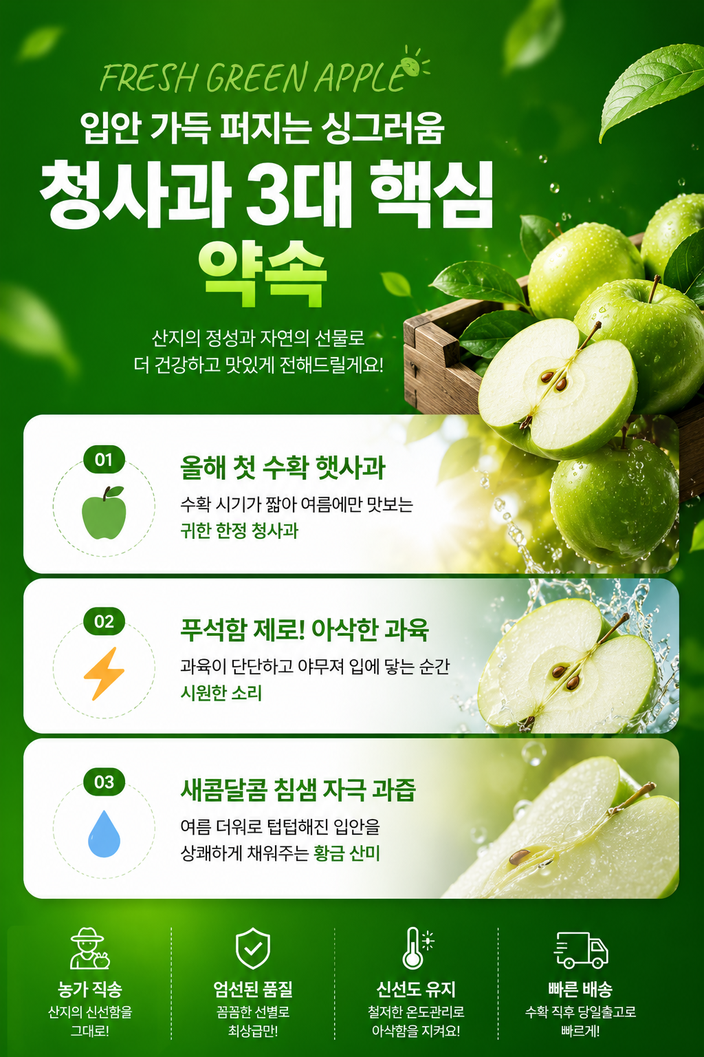 국내산 햇 청사과, 로얄과, 중소과, 2kg, 1박스 상세 이미지 3