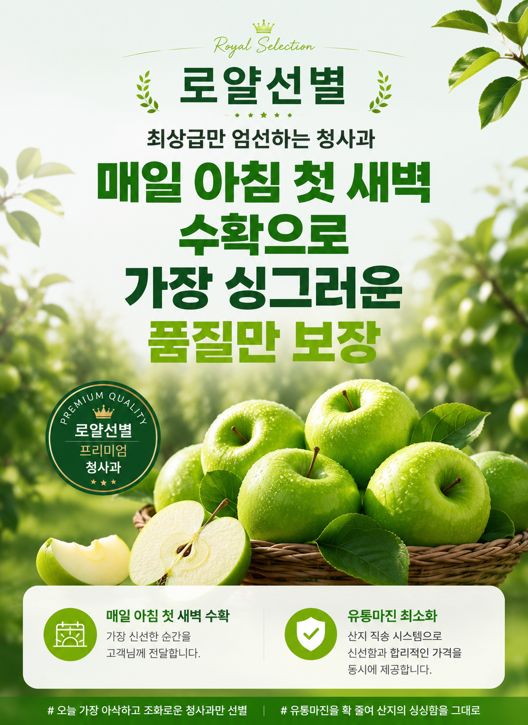 국내산 햇 청사과, 로얄과, 중소과, 2kg, 1박스 상세 이미지 4