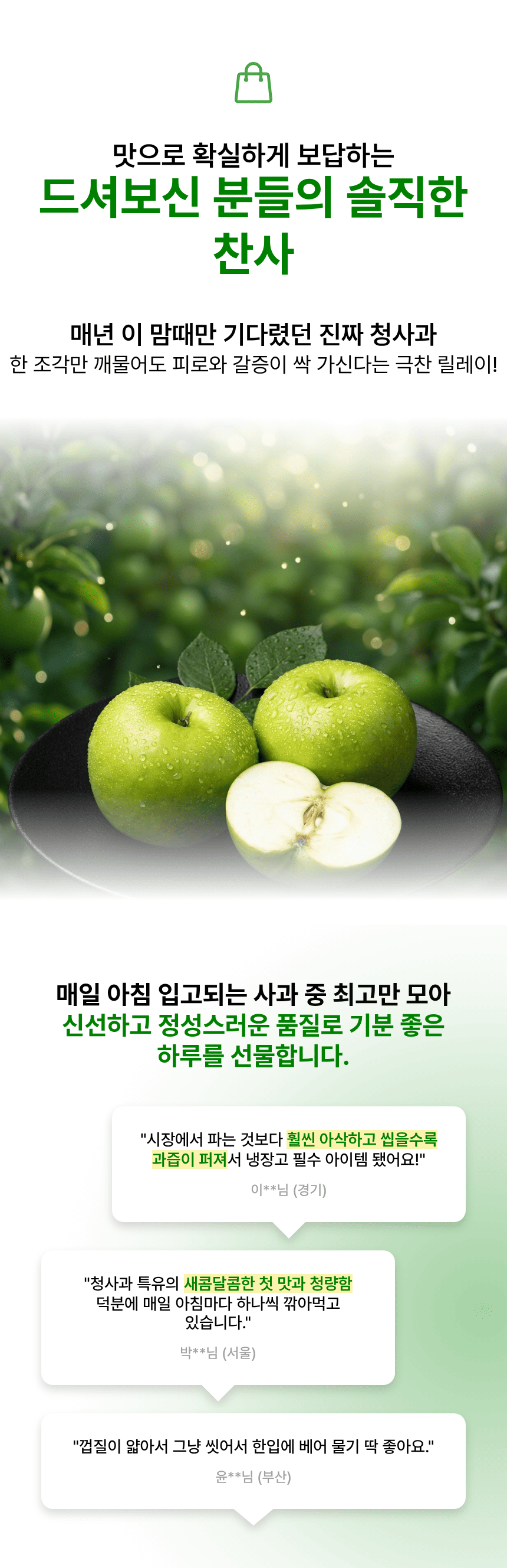 국내산 햇 청사과, 로얄과, 중소과, 2kg, 1박스 상세 이미지 2