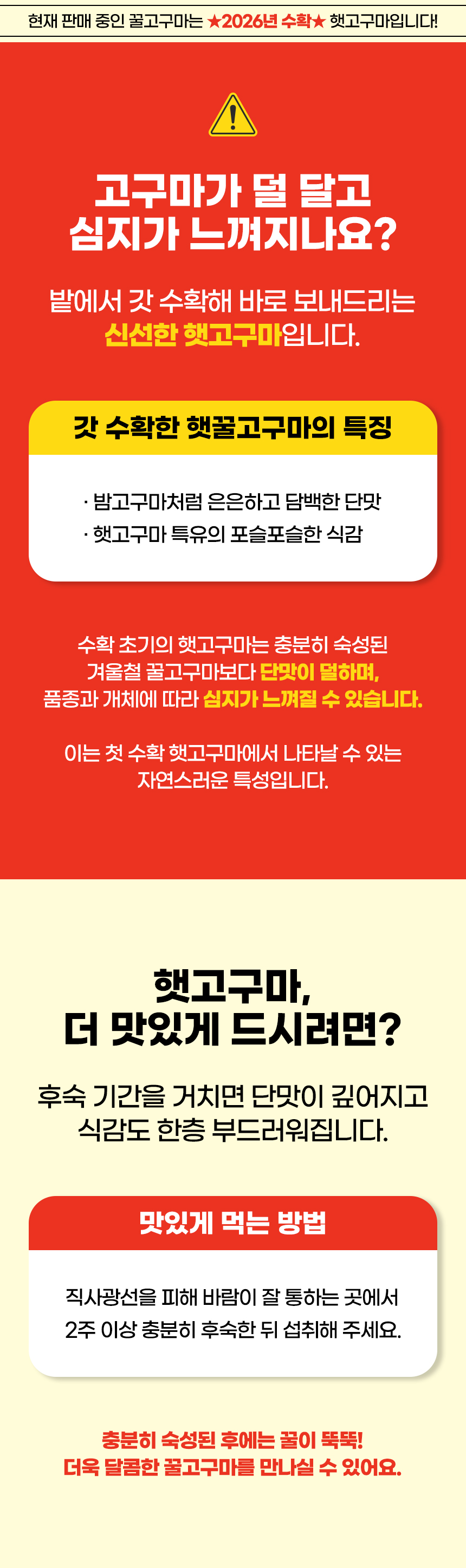 해남 꿀고구마 베니하루카, 한입, 3kg, 1개