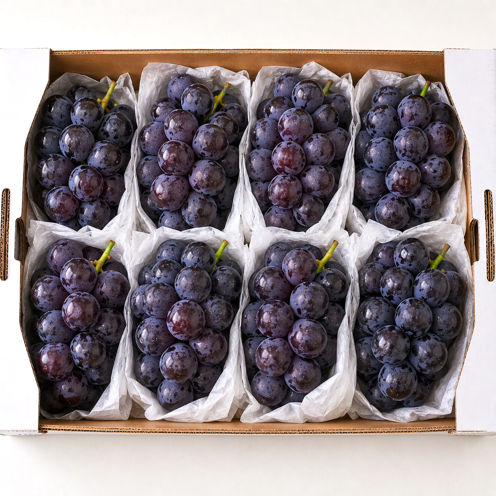 이모뜰 국내산 캠벨포도, 4-10수 내외, 2kg, 1개 상품 이미지 1