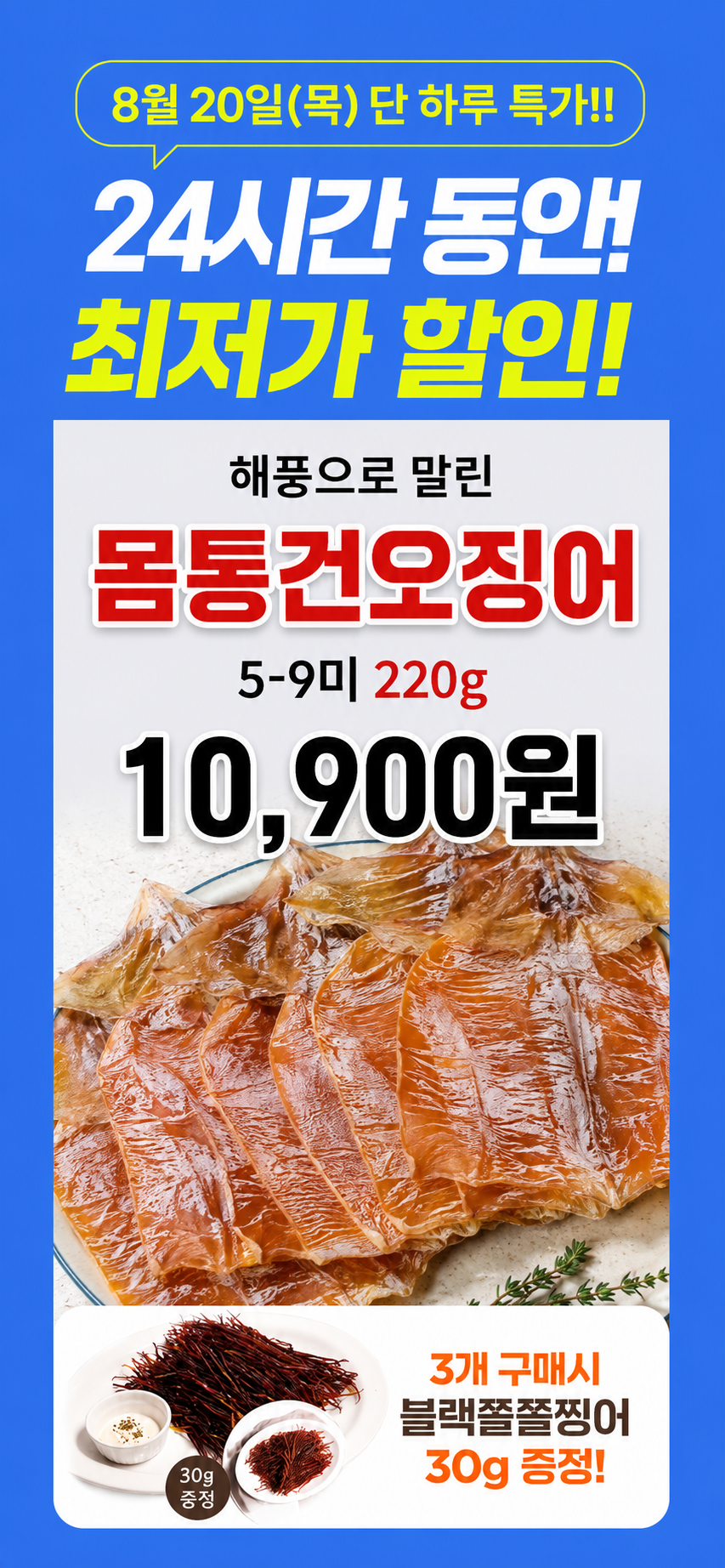 더주 몸통 마른 오징어, 5-9미, 220g 내외, 1개