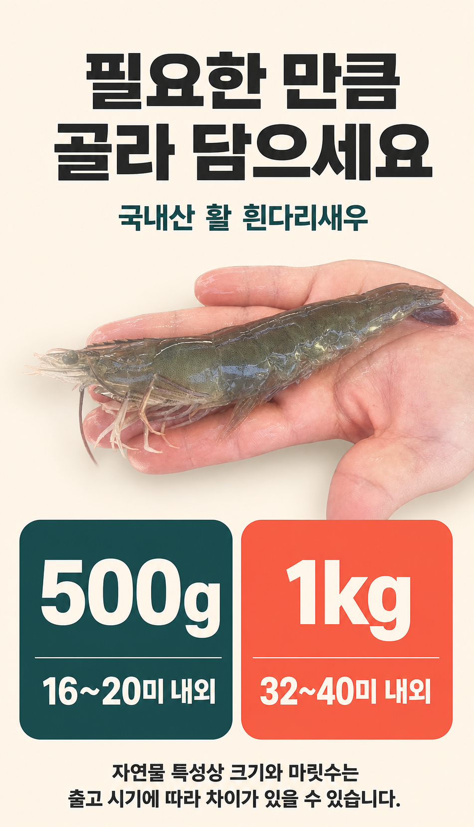 산들에담다 국내산 노지 활 새우, 500g, 1개