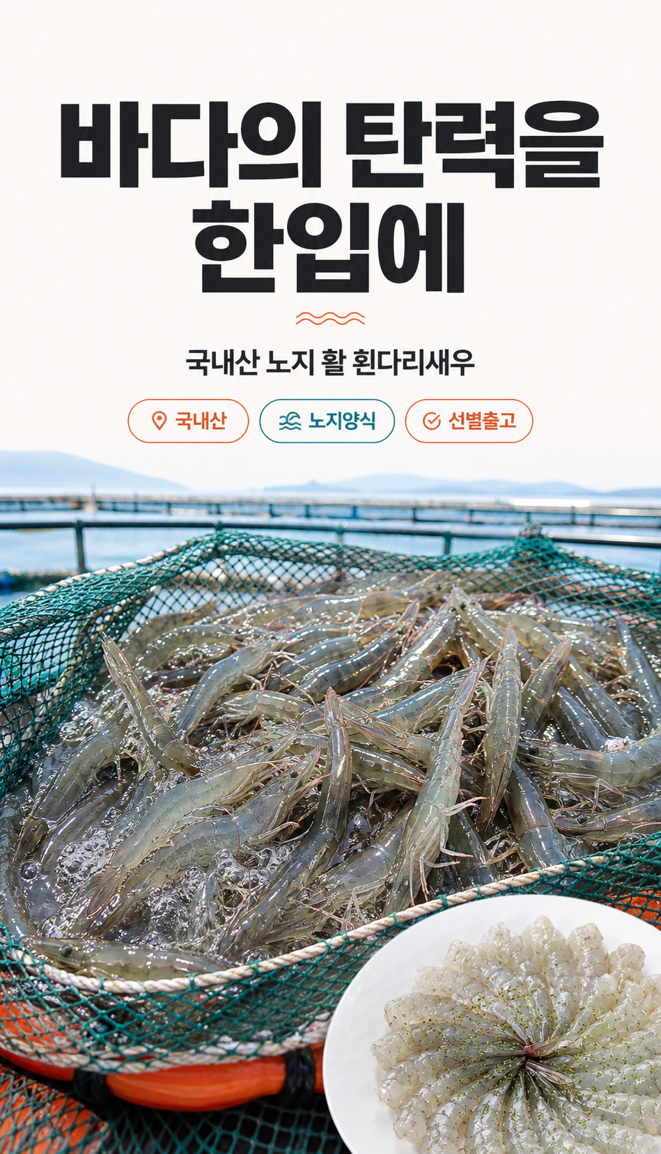 산들에담다 국내산 노지 활 새우, 500g, 1개