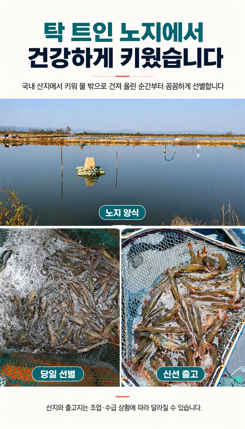 산들에담다 국내산 노지 활 새우, 500g, 1개