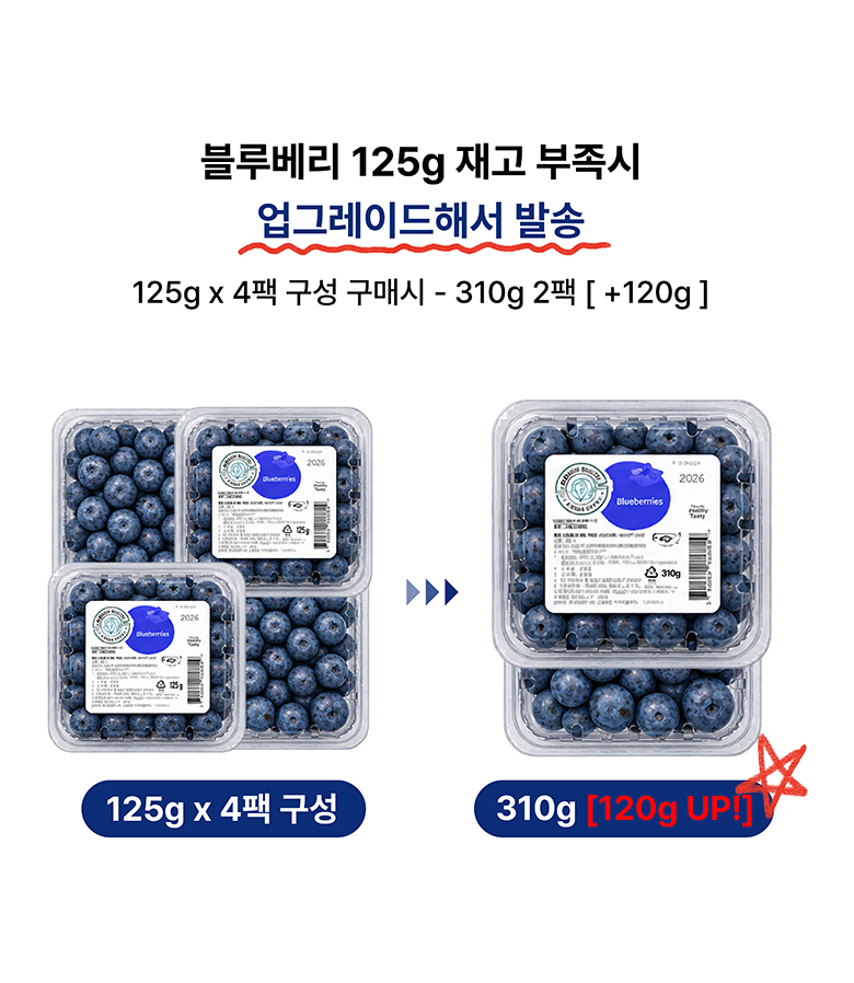라라로코 생 블루베리, 125g, 4팩