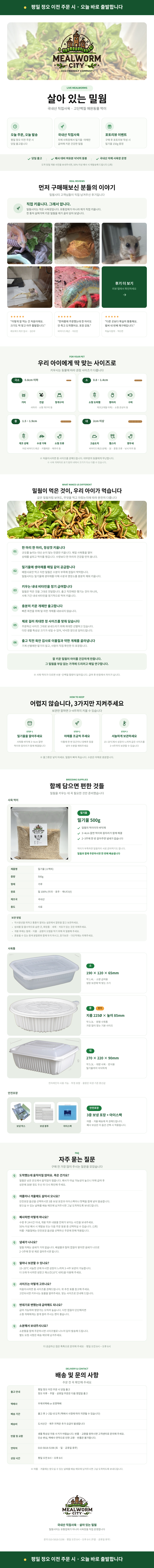 밀웜씨티 살아있는 밀웜, 대, 2-3cm, 200마리, 1개 상세 이미지 1