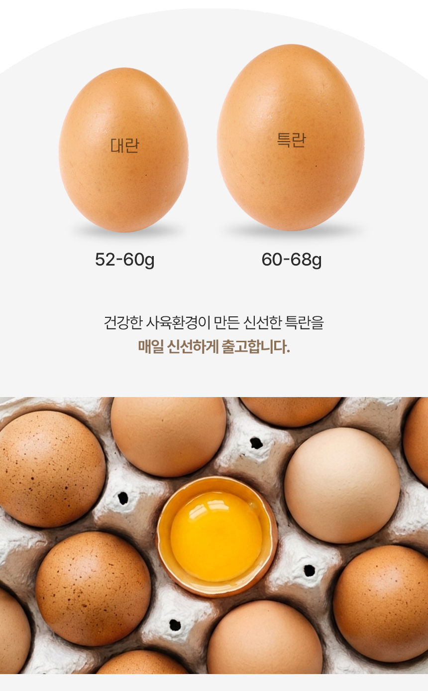 오메가 동물복지 무항생제 난각2번 계란, 40개, 1세트