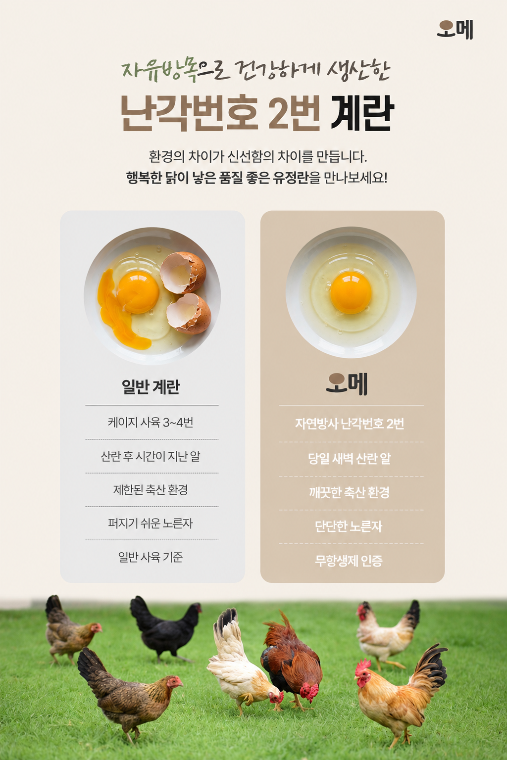 오메가 동물복지 무항생제 난각2번 계란, 40개, 1세트