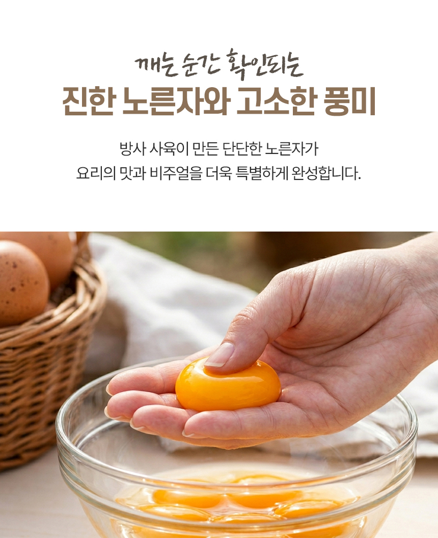 오메가 동물복지 무항생제 난각2번 계란, 40개, 1세트
