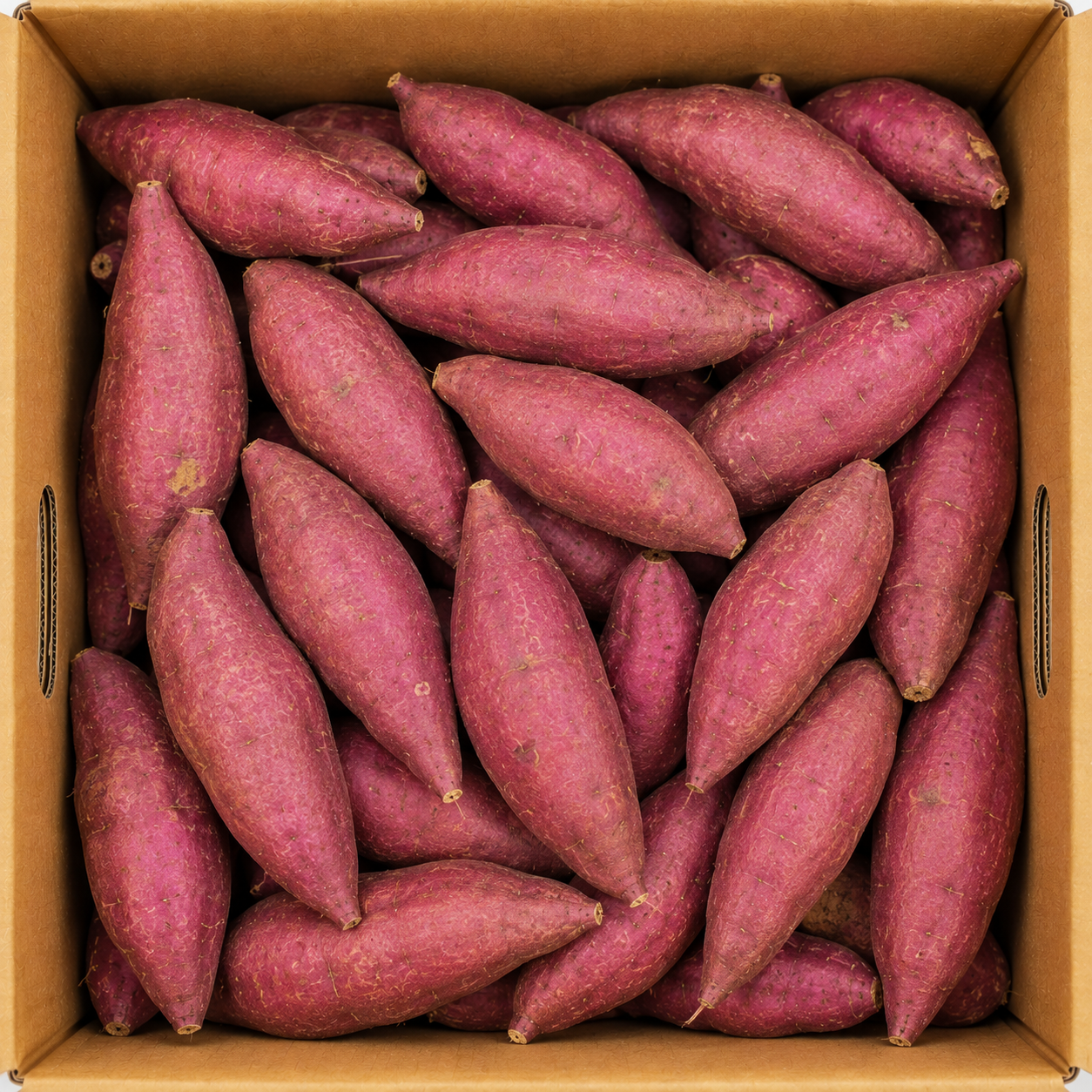 호박고구마 호풍미 한입 크기 5kg 박스 직접 먹어보고 정리한 초보자 가이드 1