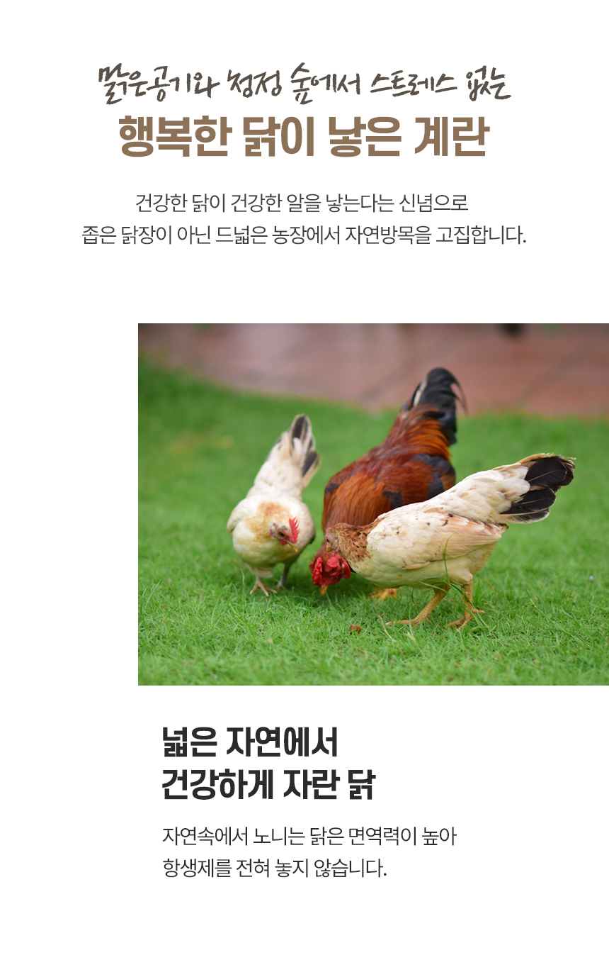 오메가 동물복지 무항생제 난각2번 계란, 40개, 1세트