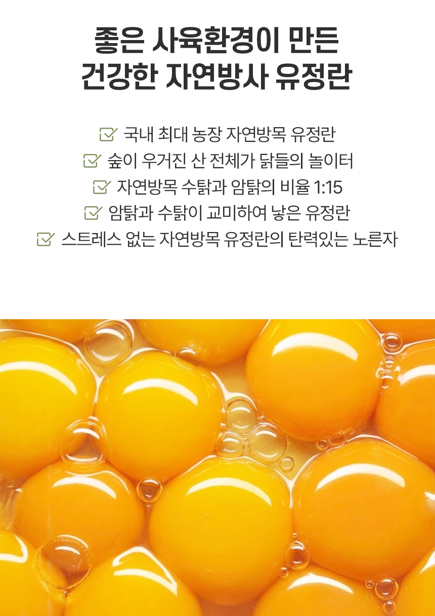 오메가 동물복지 무항생제 난각2번 계란, 40개, 1세트