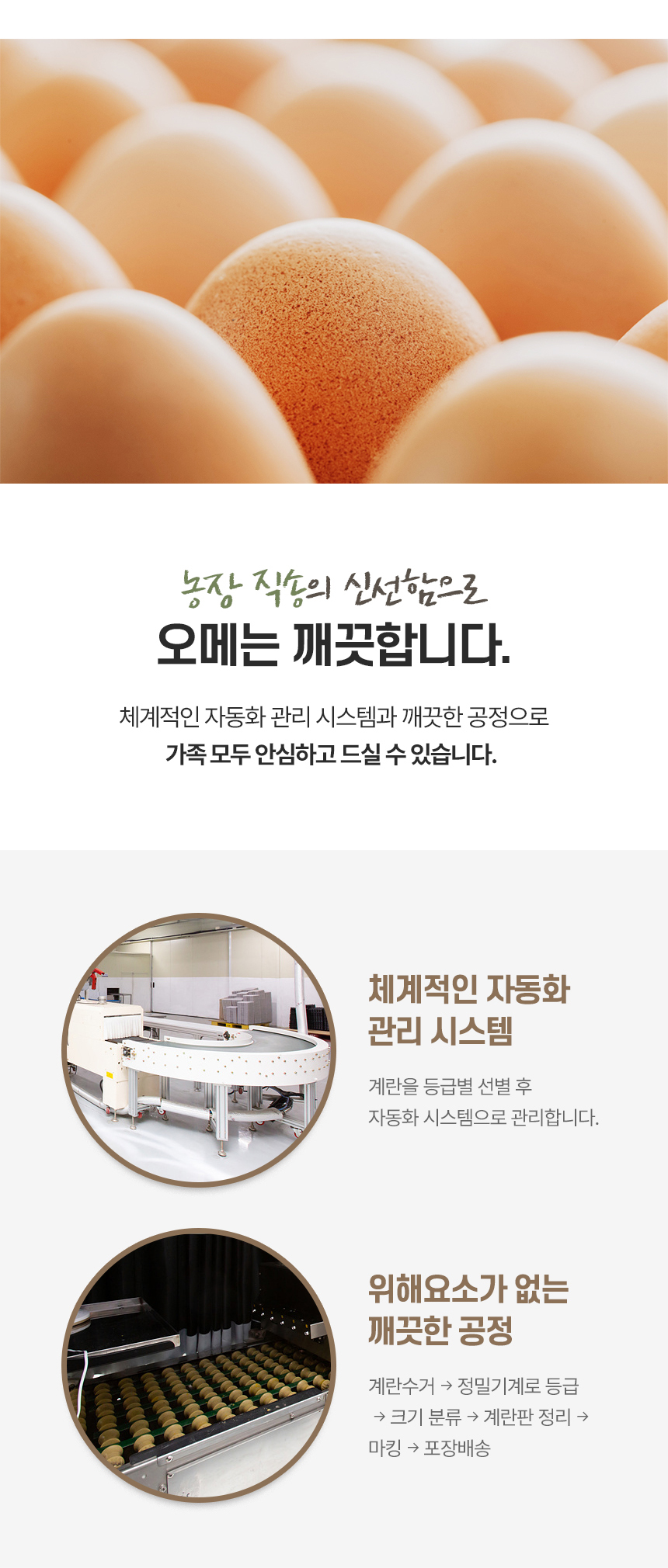 오메가 동물복지 무항생제 난각2번 계란, 40개, 1세트