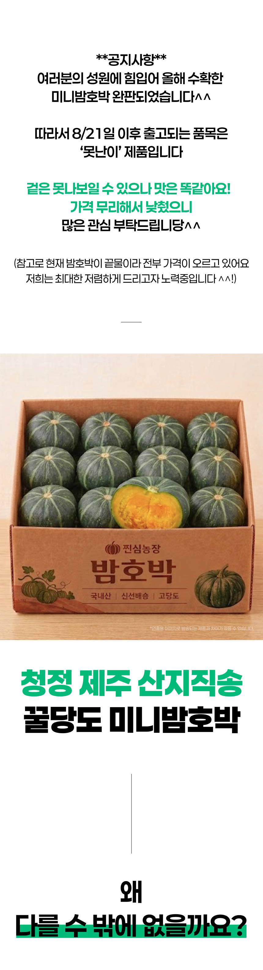 제주 꿀 미니밤호박 보우짱, 특품, 5kg, 1박스