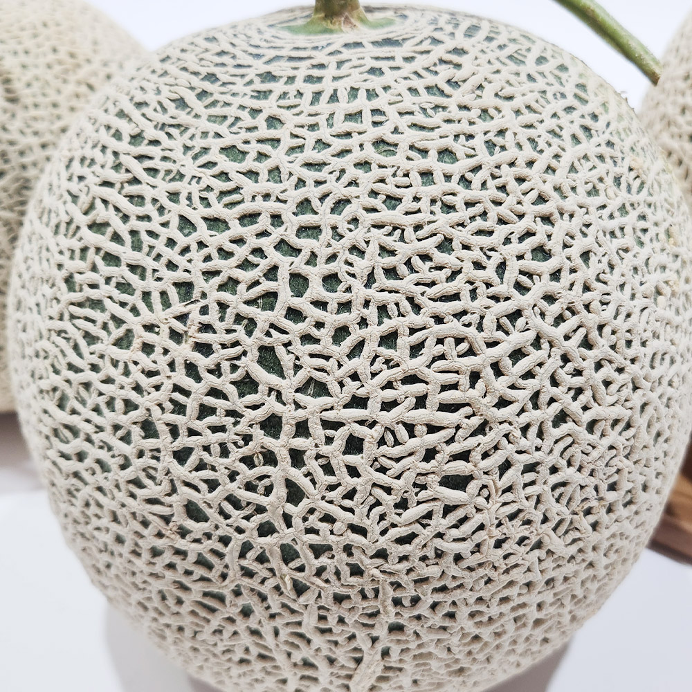 머스크 멜론, 2kg, 4개 상품 이미지 4