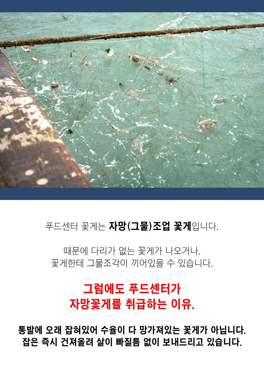 찬바다 국내산 생물 숫꽃게, 1kg, 1세트 상세정보 13