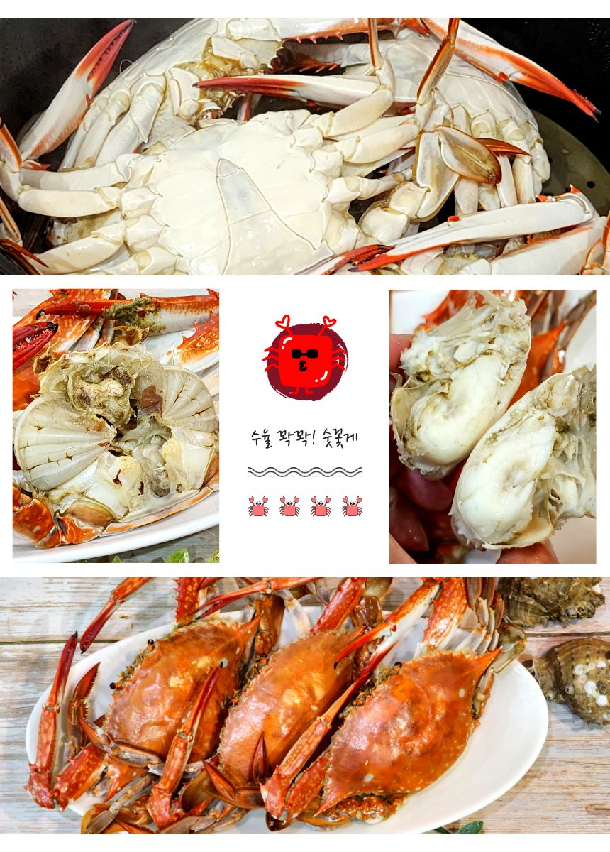 찬바다 국내산 생물 숫꽃게, 1kg, 1세트 상세정보 24