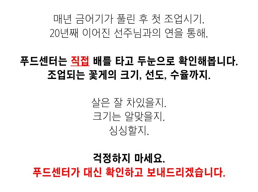 찬바다 국내산 생물 숫꽃게, 1kg, 1세트 상세정보 10
