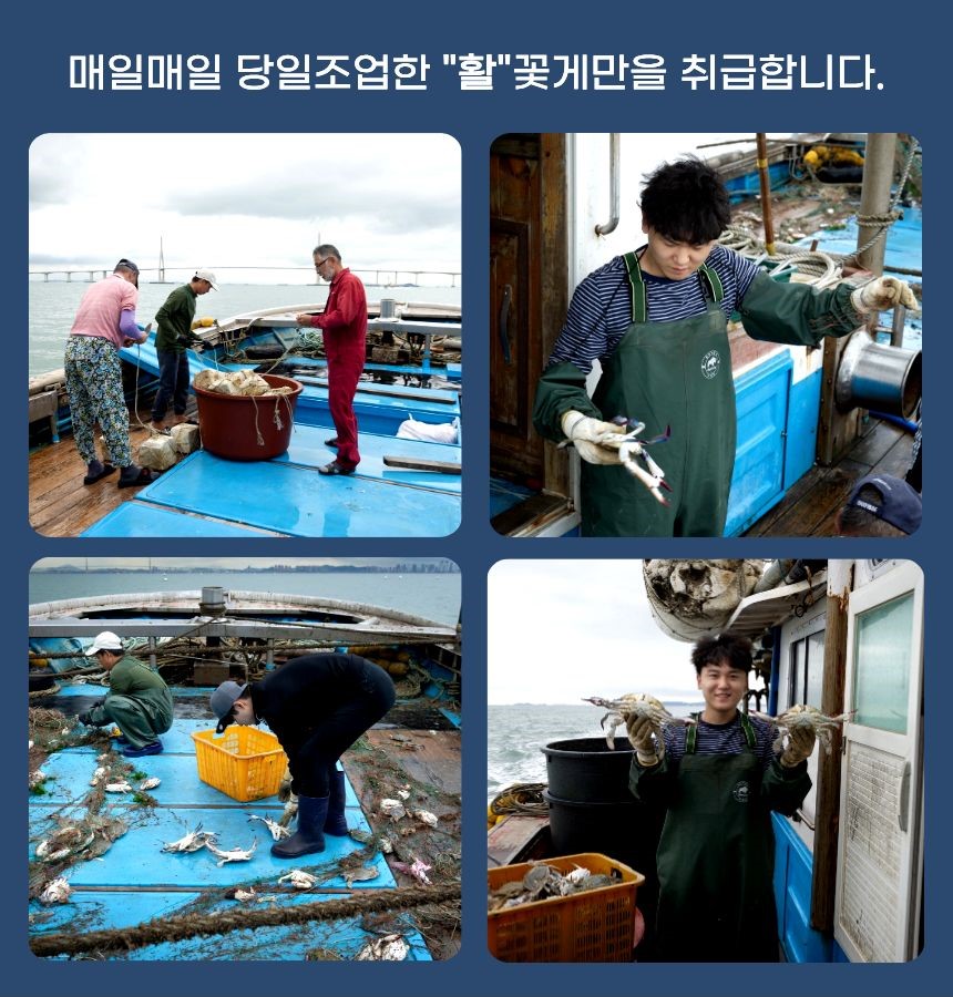 찬바다 국내산 생물 숫꽃게, 1kg, 1세트 상세정보 7