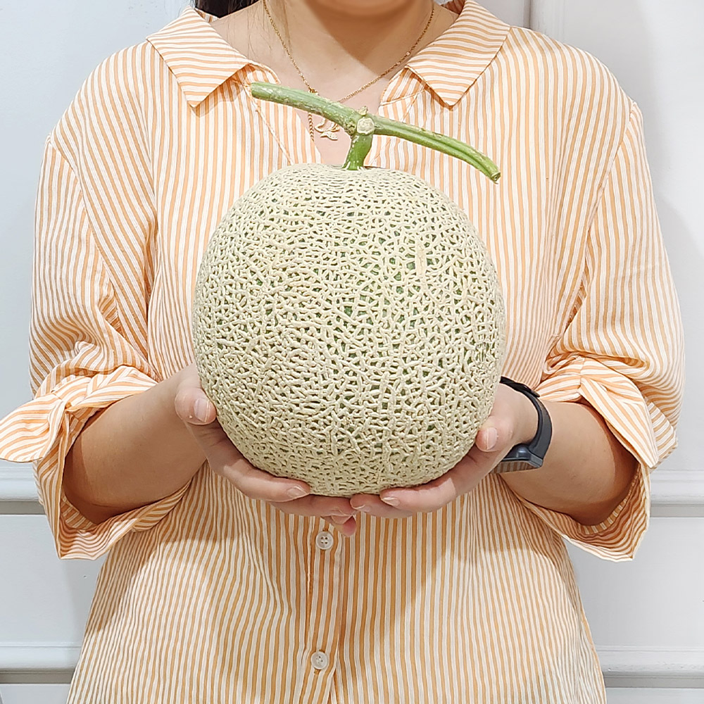 머스크 멜론, 2kg, 4개 상품 이미지 5