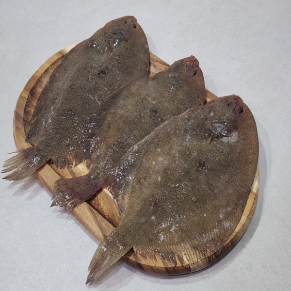 국내산 생물 가자미, 4kg, 1개 상품 이미지 1