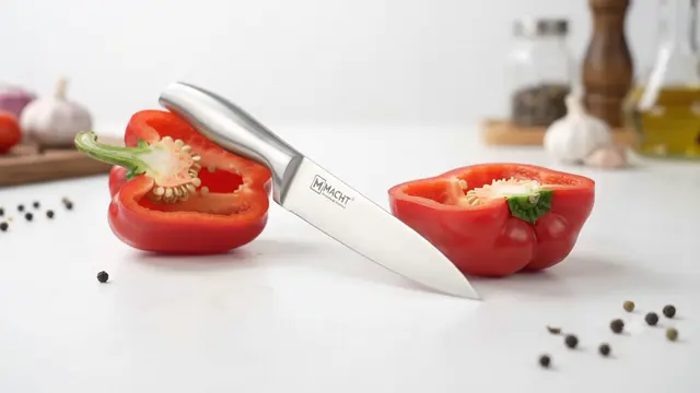 마흐트 올스텐 파흐만 쉐프나이프, 1개 + 중식도, 1개, 1세트