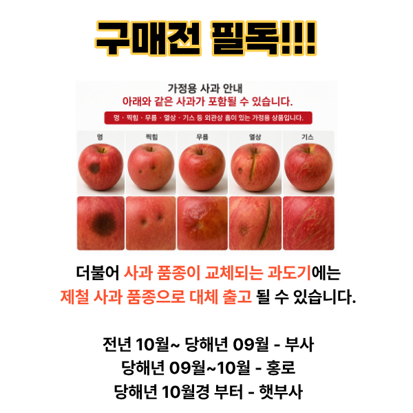 경북 안동 가정용 빨간부사 사과, 랜덤과, 10kg, 1박스 상세정보 8