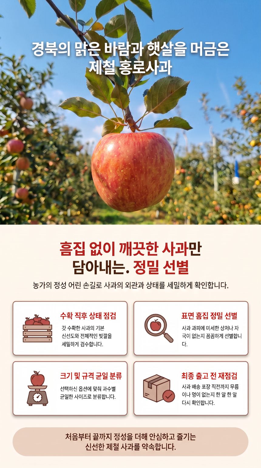 국내산 경북 홍로사과, 18과내외, 2kg, 1박스 상세 이미지 6