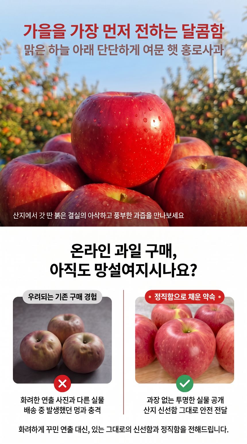 국내산 경북 홍로사과, 18과내외, 2kg, 1박스 상세 이미지 3