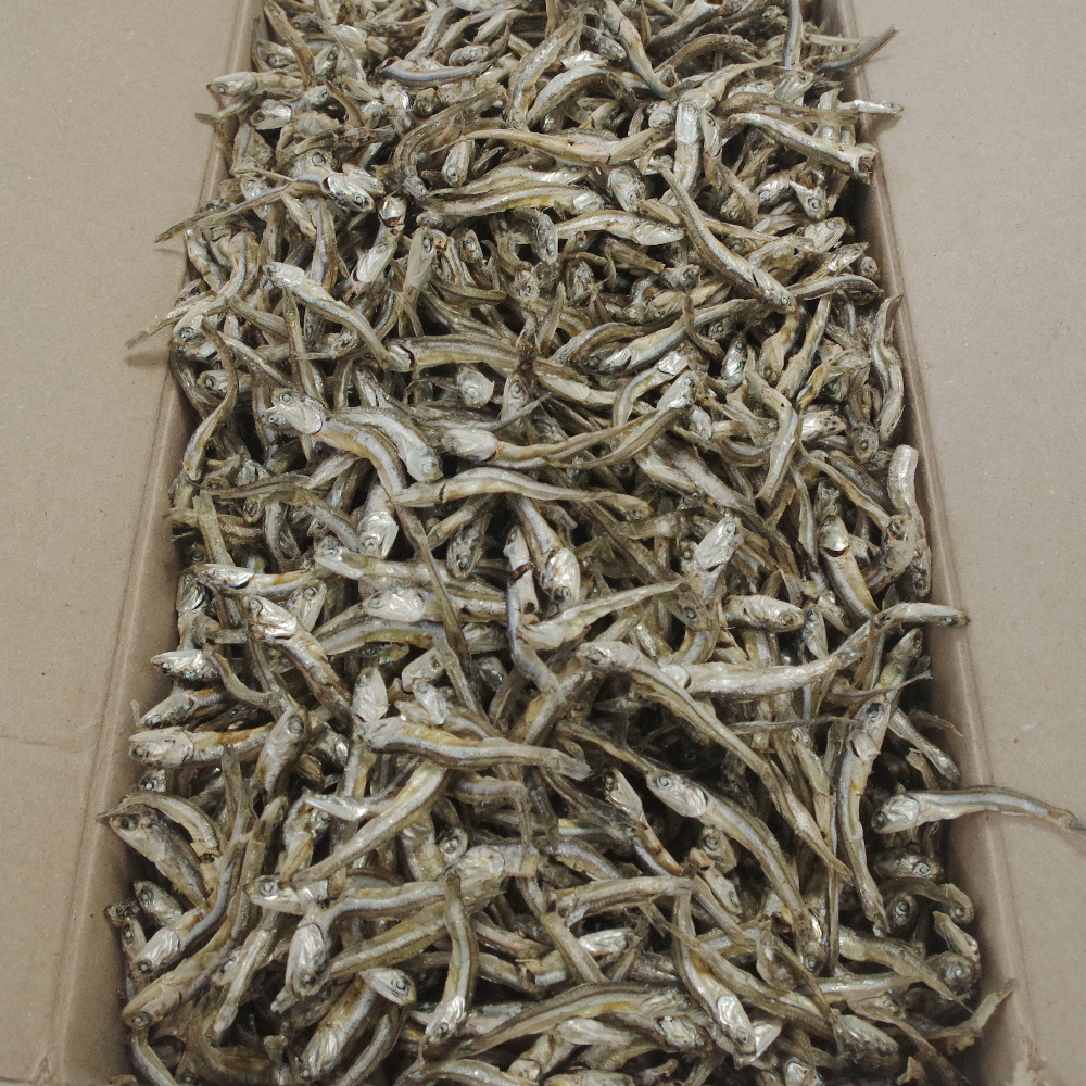 국내산 햇 고바멸치, 1.5kg, 1개 상품 이미지 5