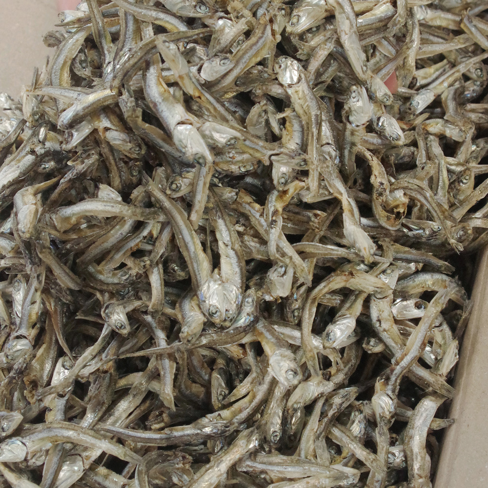국내산 햇 고바멸치, 1.5kg, 1개 상품 이미지 3