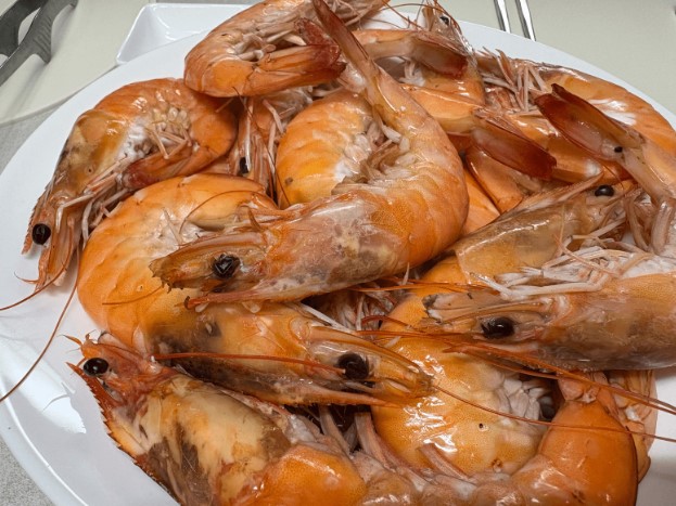 국내산 횟감 활 흰다리새우, 1kg, 1팩 상세정보 39