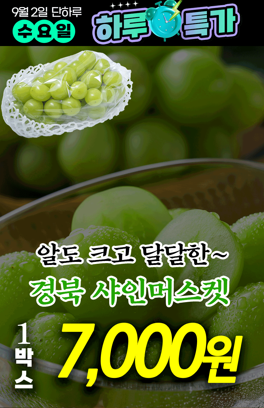 산기슭 샤인머스켓, 2~3수, 1kg 상세정보 1