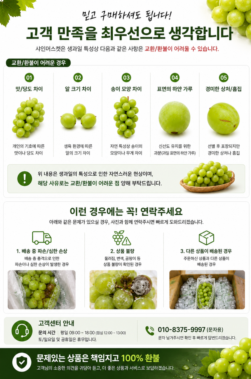 한강결 꿀당도 샤인머스켓 망고포도, 특품대과, 2kg, 1박스
