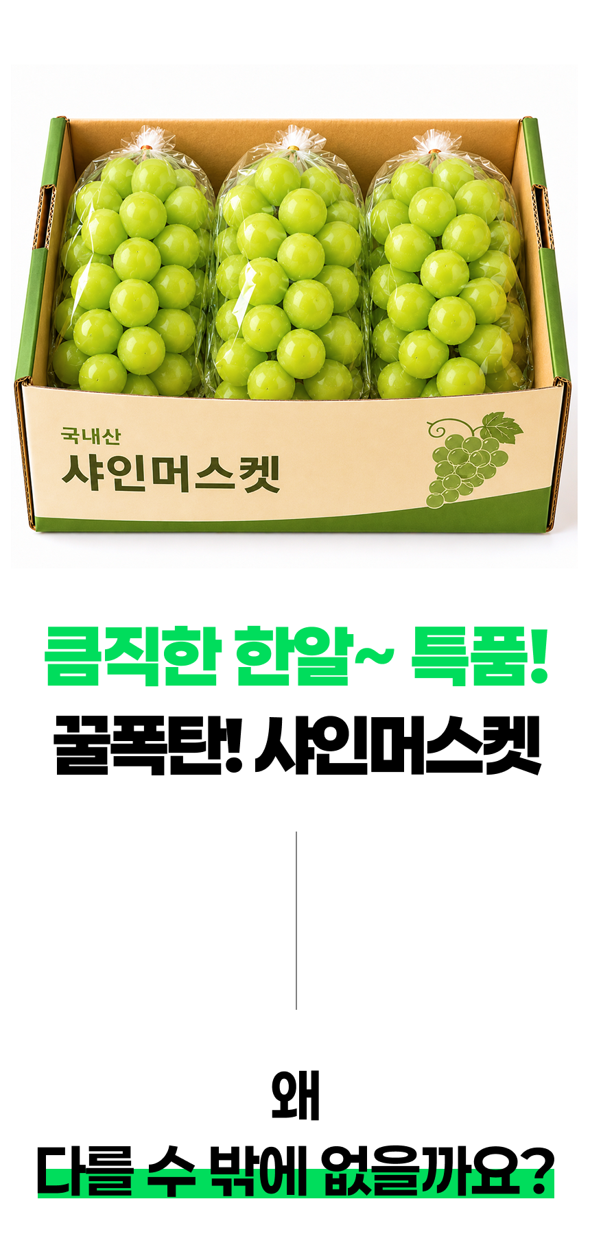 한강결 꿀당도 샤인머스켓 망고포도, 특품대과, 2kg, 1박스