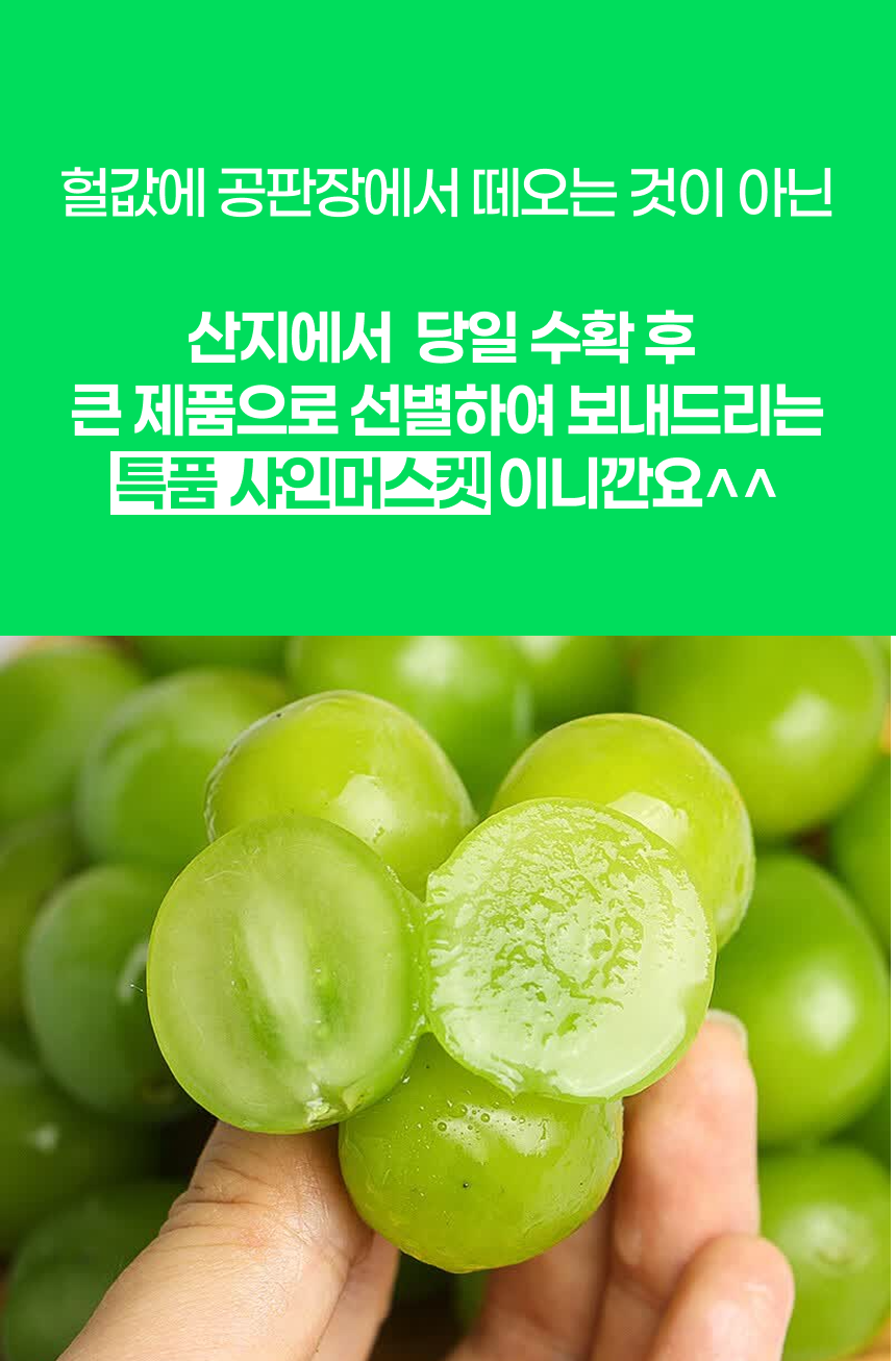 한강결 꿀당도 샤인머스켓 망고포도, 특품대과, 2kg, 1박스