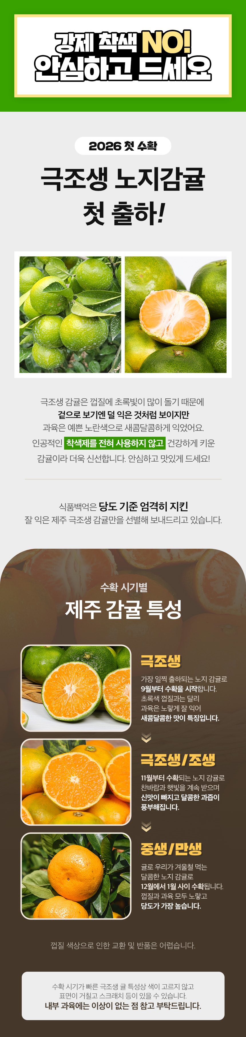 제주 극조생 노지감귤, 특품, 로얄과, 10kg, 1박스 상세 이미지 2
