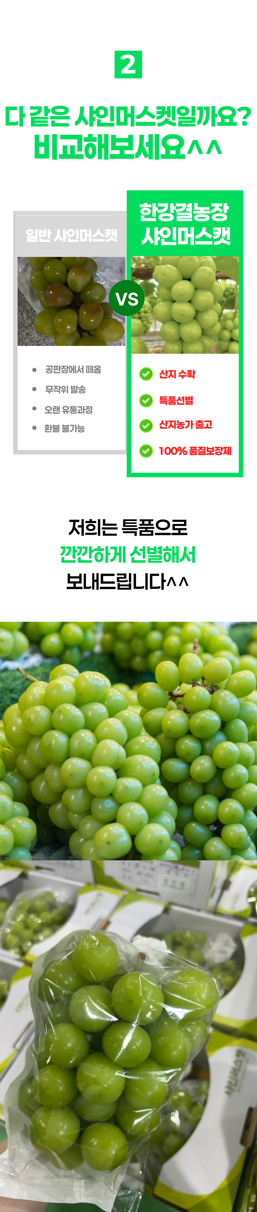 한강결 꿀당도 샤인머스켓 망고포도, 특품대과, 2kg, 1박스