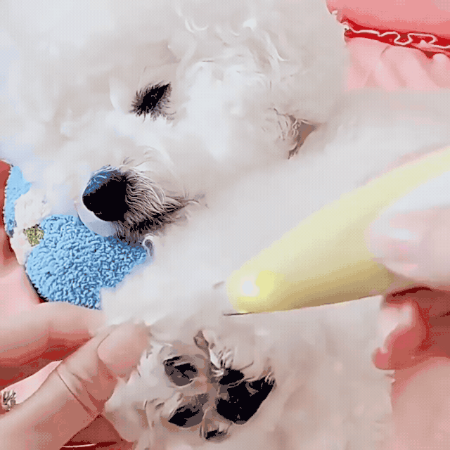반려동물 강아지 고양이 발바닥 귓털 1cm 바리깡 미용기, 화이트, 1개 상세 이미지 1