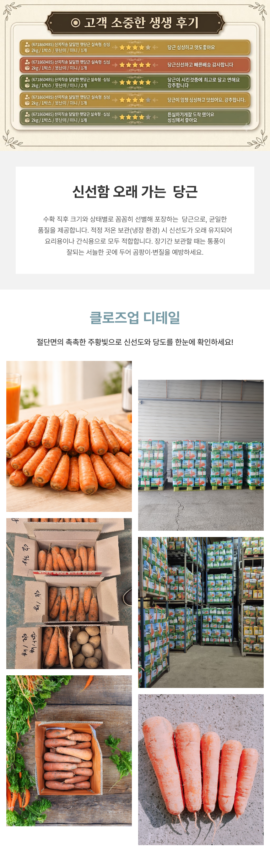 햇당근, 못난이/미니, 2kg, 1박스 상세정보 3