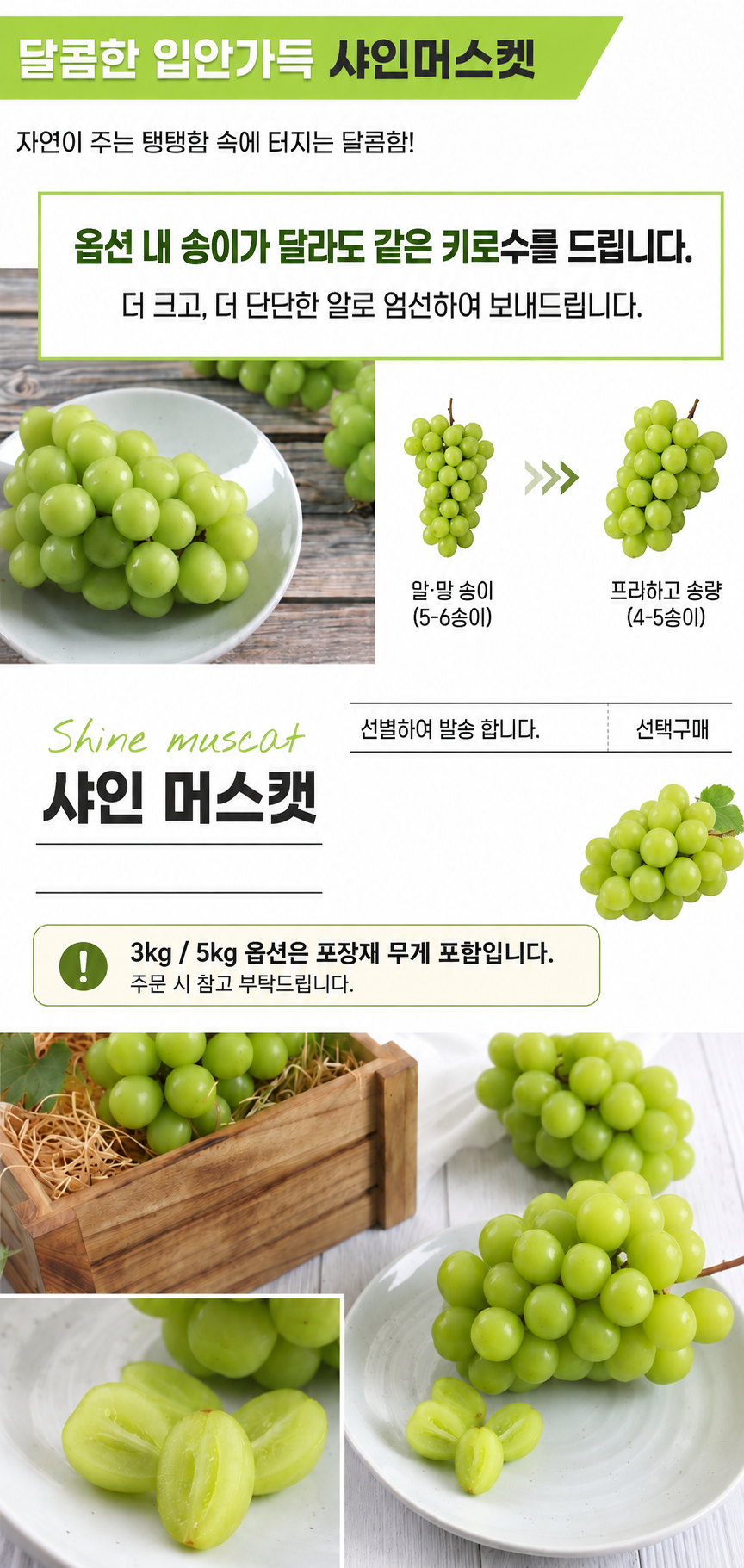송가네 가정용 샤인머스켓, 3kg, 6수, 1박스