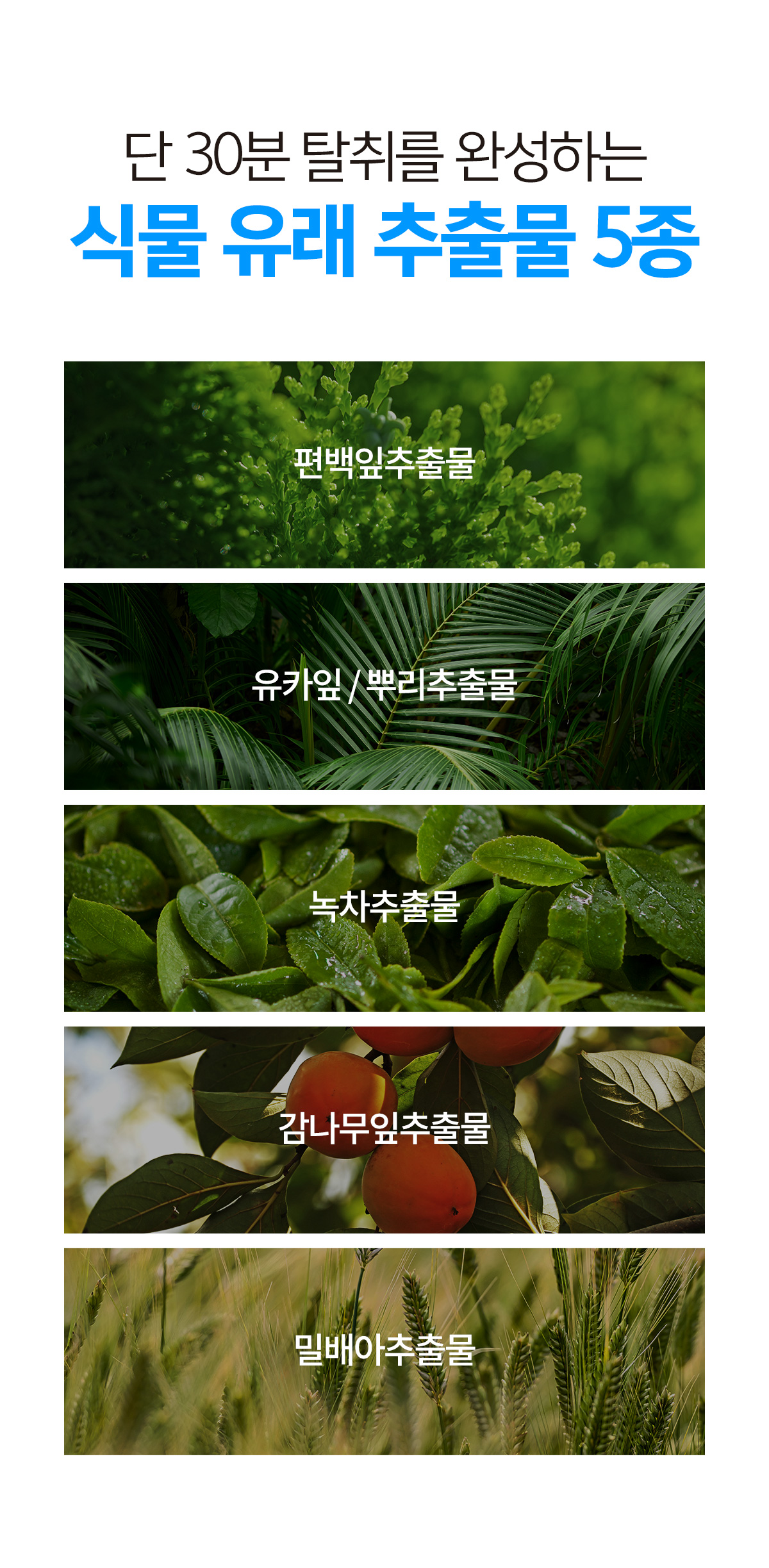 살림백서 데오 에어 프레쉬 차량용 고체탈취제, 런드리 허그 코튼향, 250g, 1개
