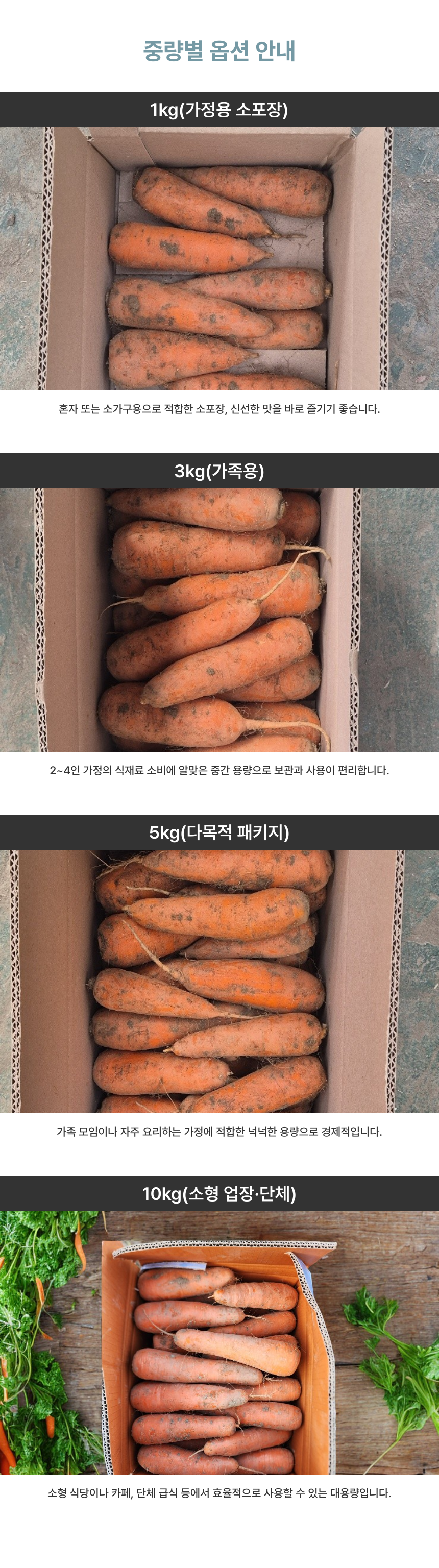 햇당근, 못난이/미니, 2kg, 1박스 상세정보 5